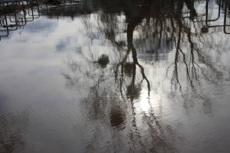 Land unter, Hochwasser über Weserpromenade Rinteln