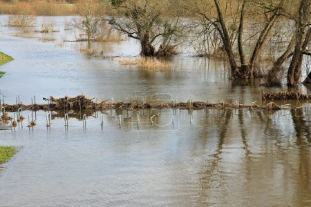 land under, flood over weser promenade Rinteln