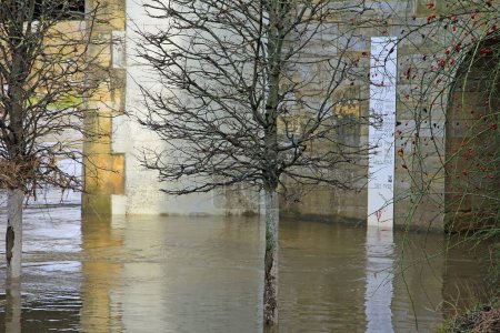 Land unter, Hochwasser über Weserpromenade Rinteln