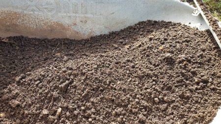 Fresh Compost soil, sieved 
