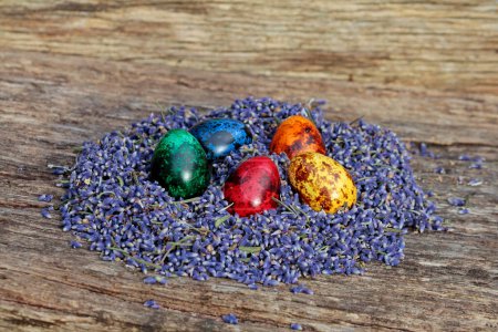 Easter: Quail eggs, brightly coloured 