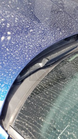 sahara dust, rained off on car paint, easter 2024