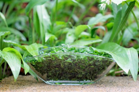 wild garlic vegetable into glass bowl