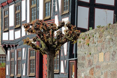 visite de la ville à travers Fritzlar, colombages et plus
