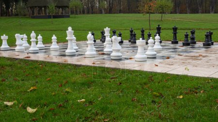 Foto de Gran tablero de ajedrez en un parque. - Imagen libre de derechos