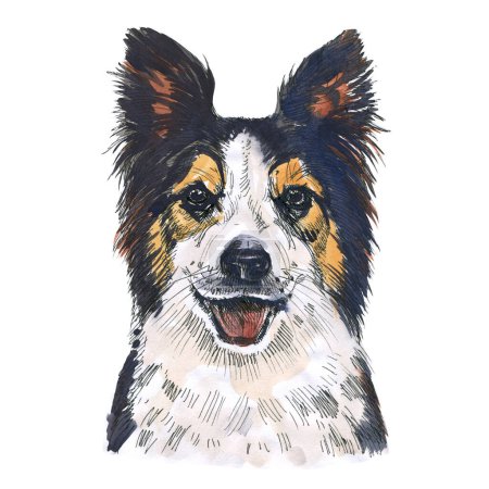 Photo for Happy cute smilling puppy dog portrait Funny black border collie looking into camera, front view isolated close-up Hand drawn watercolor illustration on white background - Royalty Free Image