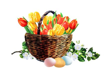 Photo for Happy Easter wicker basket with colorful tulip blooms flower and pastel eggs. Spring concept. Design element for greeting card, banner. Isolated hand drawn watercolor illustration on white background - Royalty Free Image