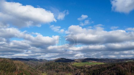Photo for Forest in lush green with healthy conifers in winter - Royalty Free Image