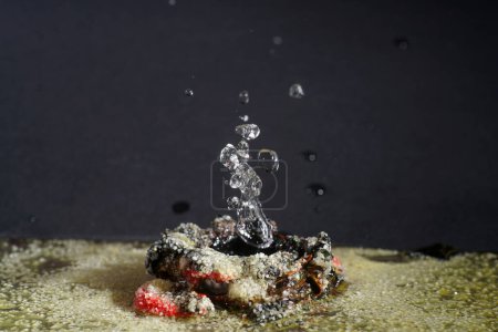 Foto de Gotas de agua sobre un fondo claro fotografiado en el estudio - Imagen libre de derechos
