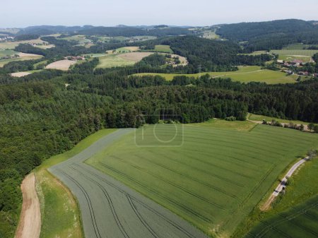 Foto de Vista aérea de la carretera a través del bosque verde. fotografía de drones - Imagen libre de derechos