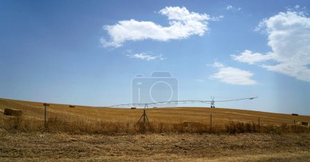 Trockene Landschaft in Spanien mit großen Weiden für Rinder und Landwirtschaft