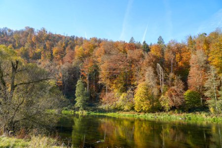 Foto de Paisaje fluvial en Baviera en el río Regen cerca de Regenstauf en otoño - Imagen libre de derechos