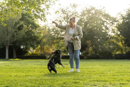 Téléchargez les photos : Une fille de quarante ans joue dans le parc avec son chien, un bouledogue français - en image libre de droit