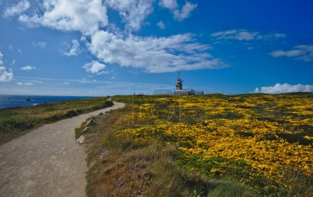 Téléchargez les photos : Coastal scenery with yellow flowering fields in may around Pointe du Raz a promontory in Brittany France - en image libre de droit