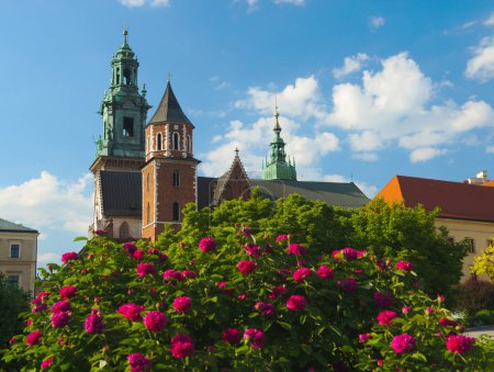 Téléchargez les photos : Belle vieille cathédrale de Wawel à Cracovie en Pologne par une journée ensoleillée d'été. Roses rouges au premier plan. - en image libre de droit