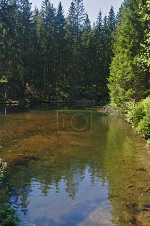 Photo for Mountain river Upa in the ski resort Pec pod Snezkou sommer  landscape.Krkonose, Czech Republic - Royalty Free Image