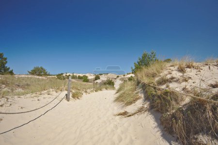 Téléchargez les photos : Vue sur les dunes de sable errantes sans fin dans une journée ensoleillée d'été. Wydma Czolpinska, parc national Slowinski sur la mer Baltique dans le nord de la Pologne. - en image libre de droit
