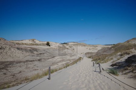 Foto de Vista de interminables dunas de arena errantes en un soleado día de verano. Wydma Czolpinska, Parque Nacional Slowinski en el Mar Báltico en el norte de Polonia. - Imagen libre de derechos