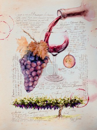 Foto de Grapevine and its fruits. A bottle of red wine and glass of wine. The illustration is painted with watercolors. - Imagen libre de derechos