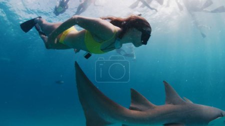 Foto de Mujer buceo libre y snorkel con la enfermera tiburón en un mar tropical en las Maldivas - Imagen libre de derechos