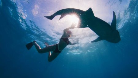 Foto de Mujer buceo libre y snorkel con la enfermera tiburón, Ginglymostoma cirratum, en un mar tropical en las Maldivas - Imagen libre de derechos