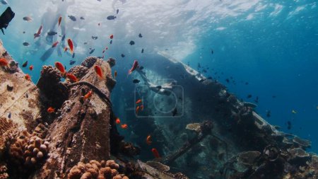 Photo for Woman dives near the shipwreck with corals in a tropical sea in the Maldives - Royalty Free Image