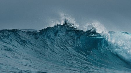 Téléchargez les photos : Vague océanique aux Maldives - en image libre de droit
