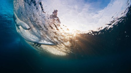 Foto de Surfista monta la ola y agarra la superficie del agua. Bajo el agua a través de la vista de la ola del surfista montando la ola y tocando el agua - Imagen libre de derechos