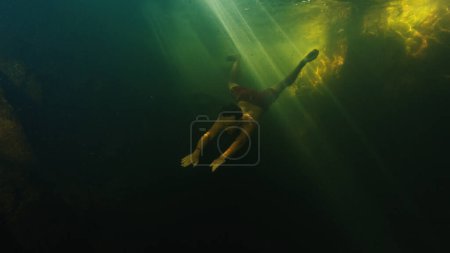 Photo for Young man free dives in the lake located in a forest and swims by underwater rocks - Royalty Free Image