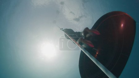 Photo for Freediving on the rope in a sea. Male freediver ascends along the rope in a monofin - Royalty Free Image