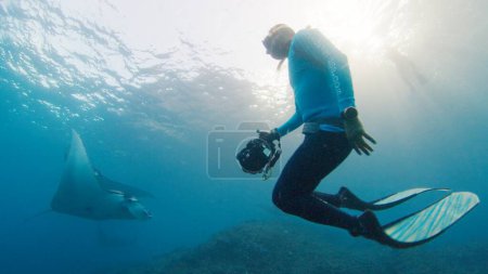 Photo for Underwater photographer takes pictures of manta ray. Freediver with camera films Giant ocean Manta Ray swimming over reef. Nusa Penida, Bali, Indonesia - Royalty Free Image