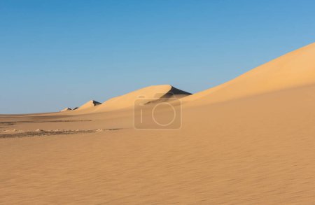 Téléchargez les photos : Paysage vue panoramique du désert aride désert occidental désolé en Egypte avec Karaween grandes dunes de sable sur fond de ciel bleu - en image libre de droit