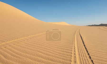 Téléchargez les photos : Paysage vue panoramique du désert aride désert sablonneux désolé avec des pistes de véhicules - en image libre de droit
