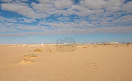 Téléchargez les photos : Paysage panoramique vue panoramique sur désert blanc et aride de l'ouest de l'Egypte avec des formations géologiques calcaires rocheuses - en image libre de droit