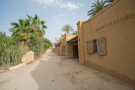 Téléchargez les photos : Vieille porte rustique en bois en mur de brique de boue traditionnelle maison égyptienne sur la route de la rue de terre avec des palmiers - en image libre de droit