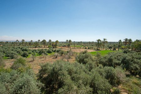 Téléchargez les photos : Vue panoramique sur les terres agricoles afro-égyptiennes éloignées avec un grand lac en arrière-plan - en image libre de droit
