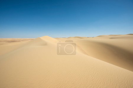 Téléchargez les photos : Paysage vue panoramique du désert aride désert occidental désolé en Egypte avec de grandes dunes de sable sur fond de ciel bleu - en image libre de droit