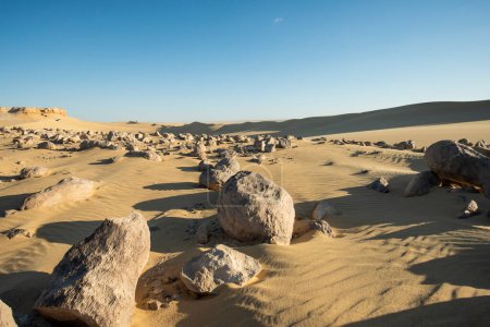 Téléchargez les photos : Paysage vue panoramique du désert aride désert occidental désolé en Egypte avec des nodules géologiques de chert de pastèque roche formations de drunka dans l'oued el battikh - en image libre de droit