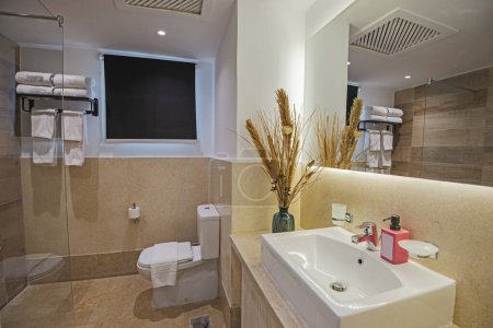Diseño interior de un lujoso cuarto de baño con cabina de ducha y lavabo