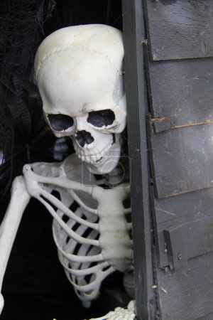 Téléchargez les photos : Une silhouette squelette donnant sur un hangar en bois. - en image libre de droit