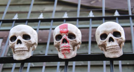 Téléchargez les photos : Trois crânes d'horreur fixés à une clôture métallique. - en image libre de droit