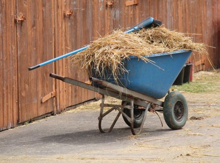 Photo for A Wheelbarrow with Straw and a Brush at Horse Stables. - Royalty Free Image