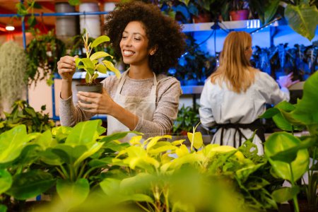 Photo for Multinational young florist girls working with potted plants in flower shop - Royalty Free Image