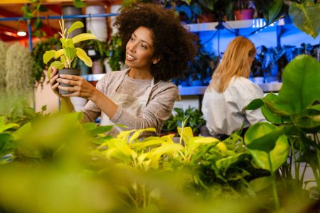 Téléchargez les photos : Deux jeunes fleuristes multinationales travaillant avec des plantes en pot dans un magasin de fleurs - en image libre de droit