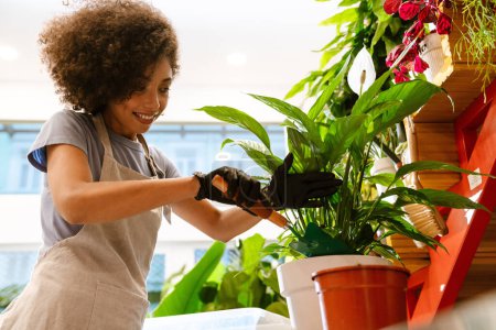 Foto de Hermosa joven florista sosteniendo planta en maceta mientras trabaja en la tienda de flores - Imagen libre de derechos