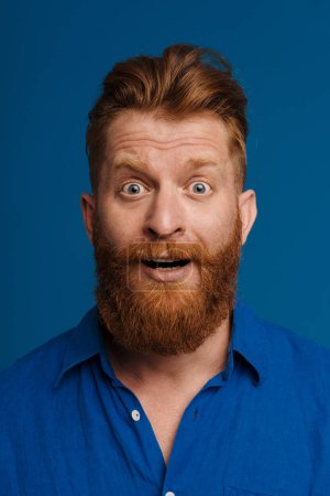 Photo for Portrait of adult handsome stylish redhead bearded surprised man in blue shirt with opened mouth looking at camera , while standing over isolated blue background - Royalty Free Image