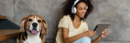 Foto de Joven mujer africana sonriente en ropa casual con perrito beagle en casa, sentado en las escaleras, sosteniendo la tableta, usando auriculares - Imagen libre de derechos
