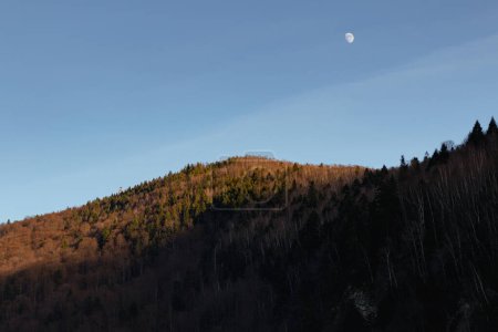 Photo for Sunset over the mountians and the moon. Carpathian. Ukraine - Royalty Free Image