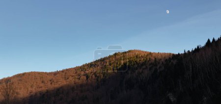 Photo for Sunset over the mountians and the moon. Carpathian. Ukraine - Royalty Free Image