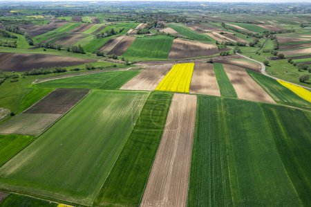 Photo for Colorful patterns in crop fields at farmland, aerial view, drone photo - Royalty Free Image